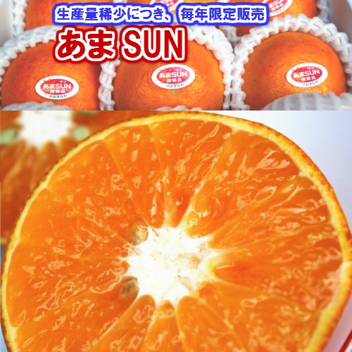 贈答用 アテモヤ 1kg (3個入) 発送12月〜3月頃 高級フルーツ 森の