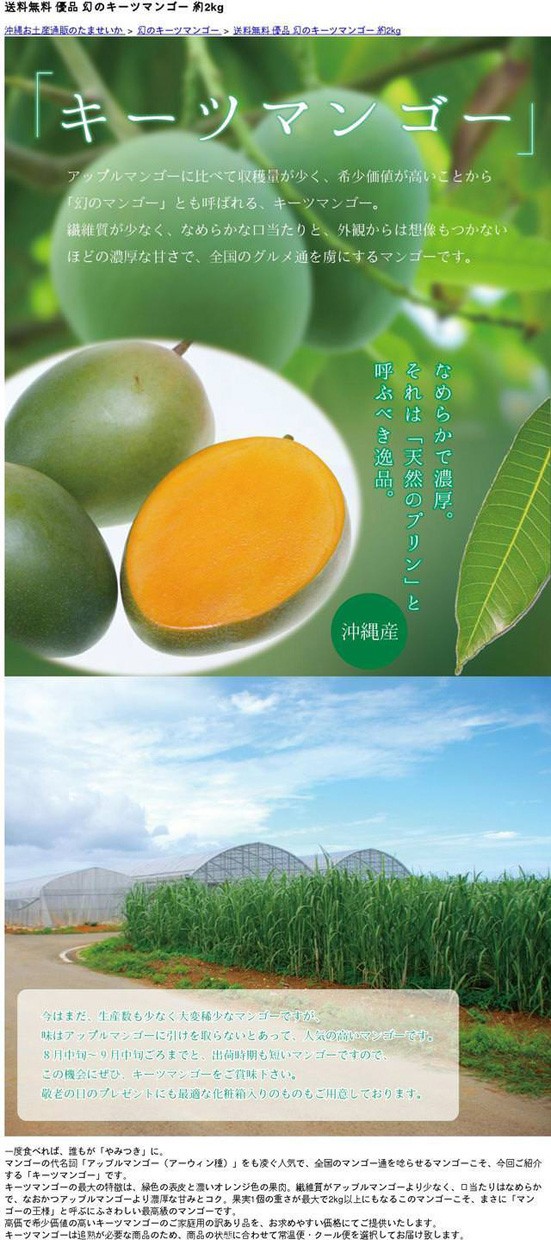 キーツマンゴー 優品 約2kg ☆沖縄県産 発送8月中旬〜9月中旬 : k-m1 : 沖縄市場たま青果 - 通販 - Yahoo!ショッピング