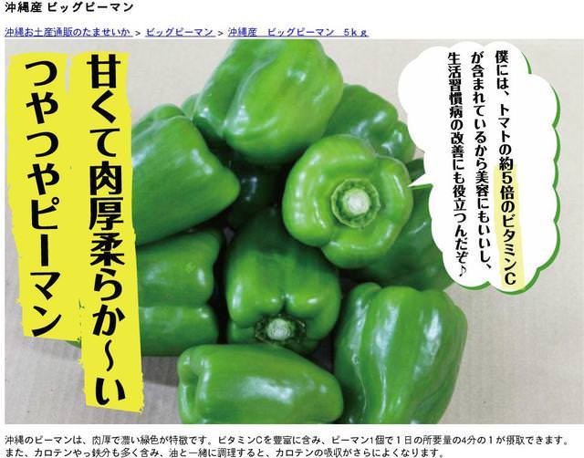 ビッグピーマン10kg 【発送11〜6月】 肉厚柔らかいつやつやピーマン