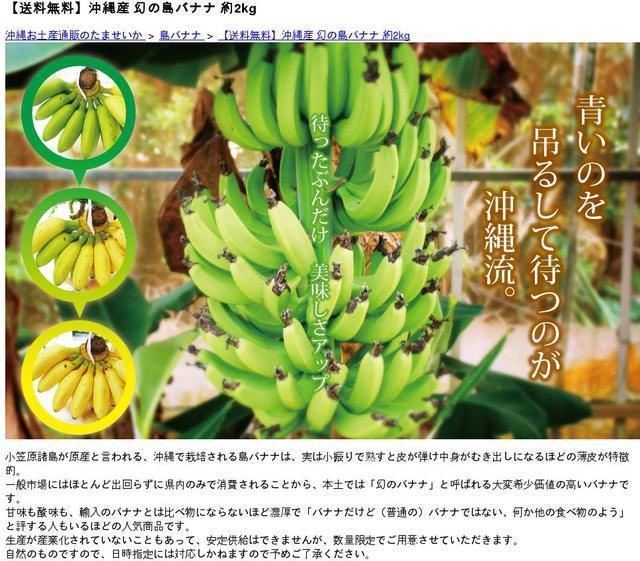 島バナナ 約2kg 「幻の島バナナ」 : simabanana2 : 沖縄市場たま青果