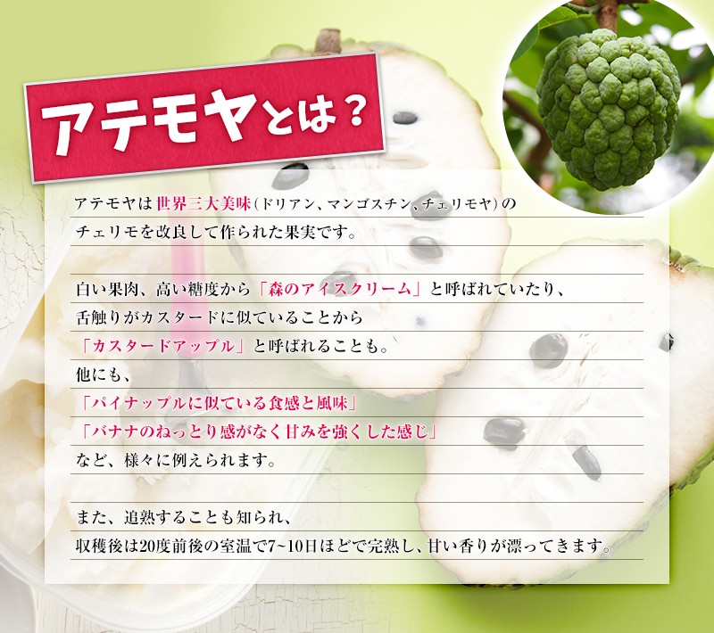 優品 アテモヤ 1kg（3〜6玉） 12月〜3月頃 高級フルーツ 森の