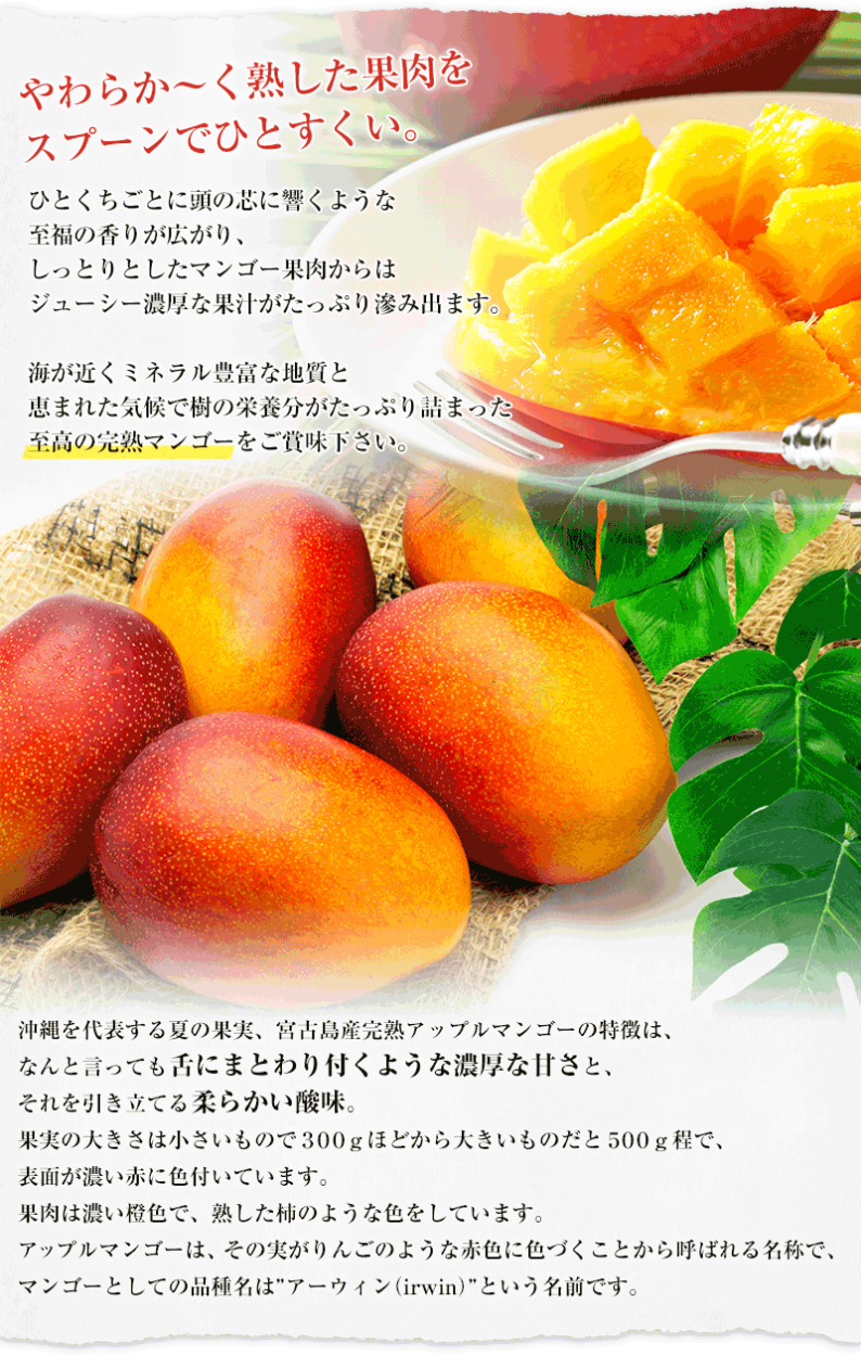 家庭用 マンゴー 約2kg(3〜8玉) キズ、黒点、色むらなど 沖縄県