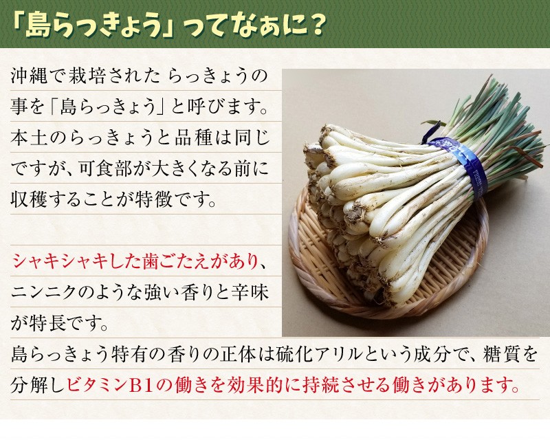 島らっきょう 30g×5袋（塩漬け：真空パック）加工済み : 沖縄市場たま