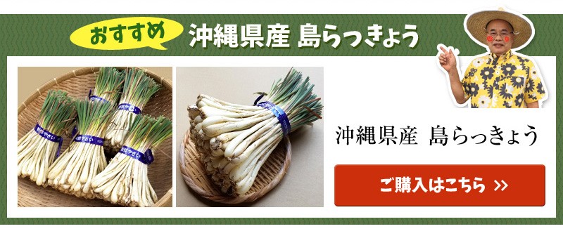 島らっきょう 30g×5袋（塩漬け：真空パック）加工済み : 沖縄市場たま