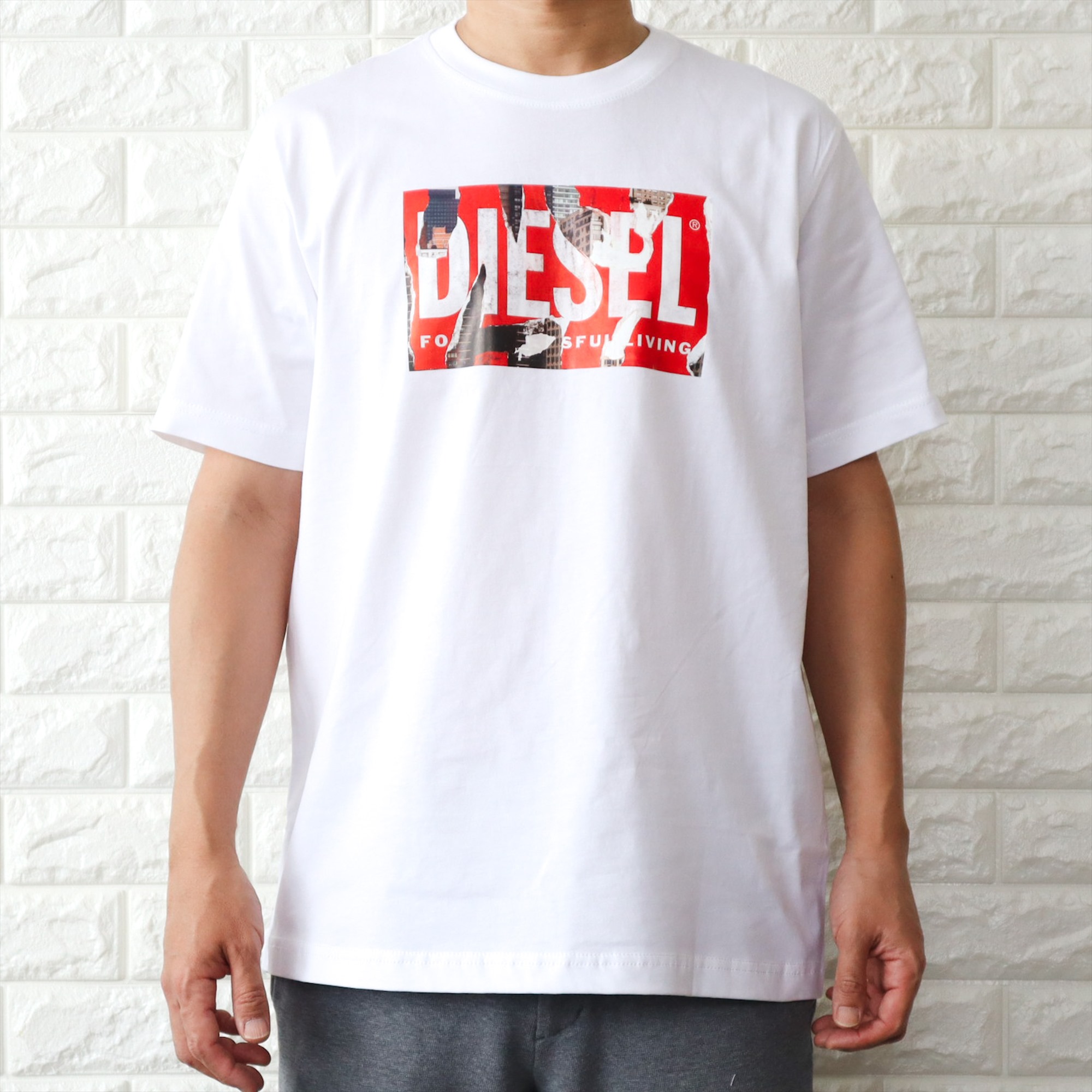 DIESEL(ディーゼル) 【並行輸入品】ディーゼル Tシャツ メンズ DIESEL(ディーゼル) 【並行輸入品】ディーゼル Tシャツ メンズ