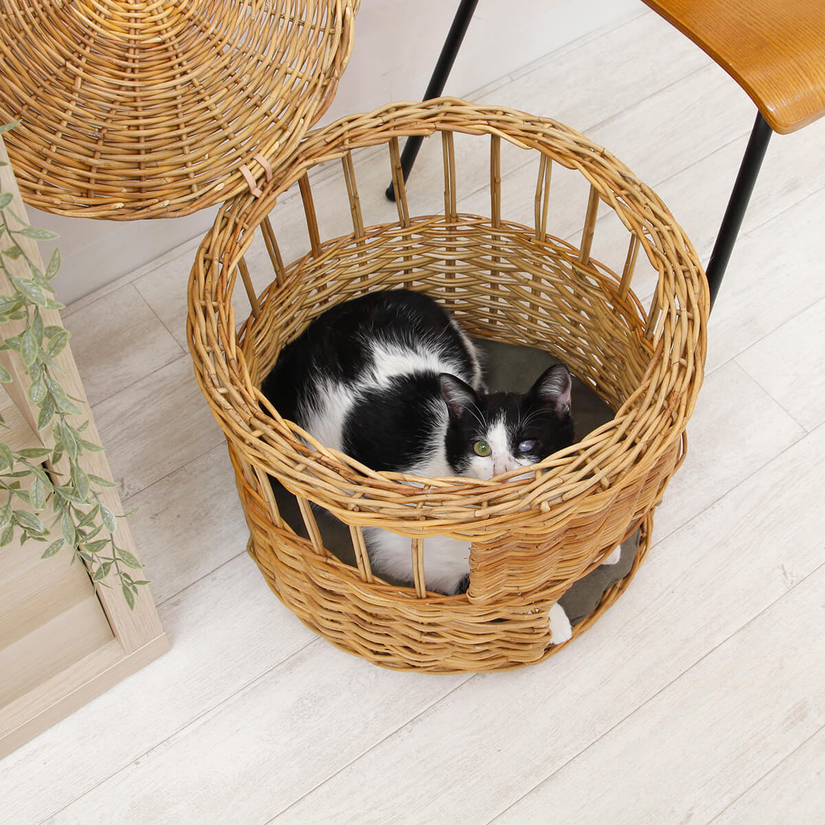 天然皮付き籐アラログ 猫ちぐら テコハウス キャットハウス ペット