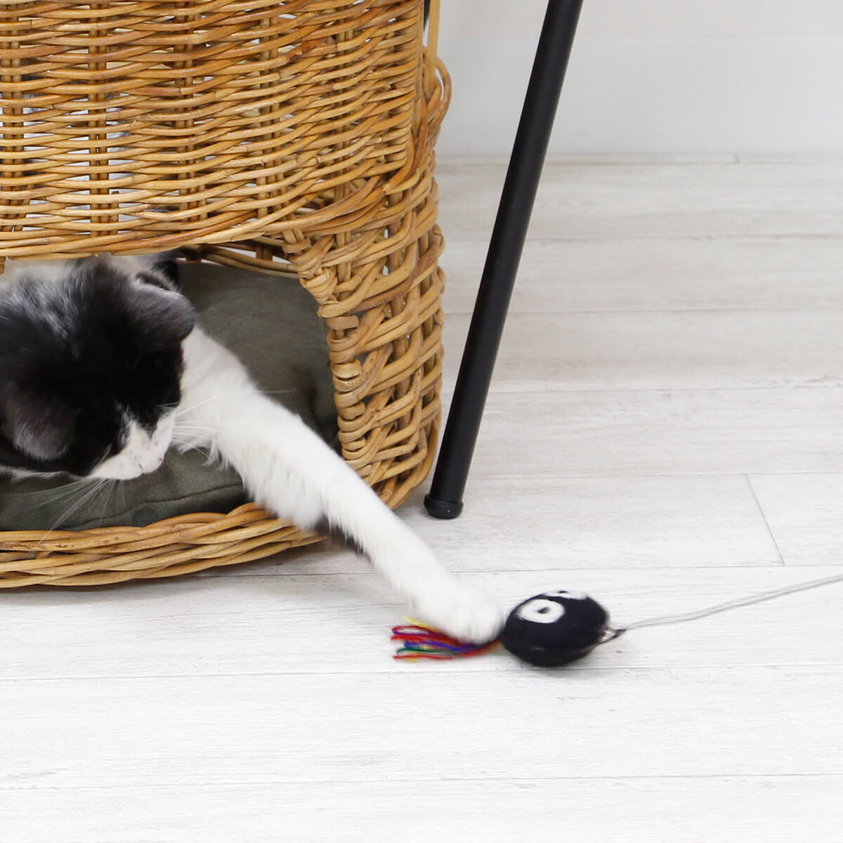 おもちゃ ねこじゃらし 釣竿セット GROOM/グルーム CAT TEASER 羊毛 猫