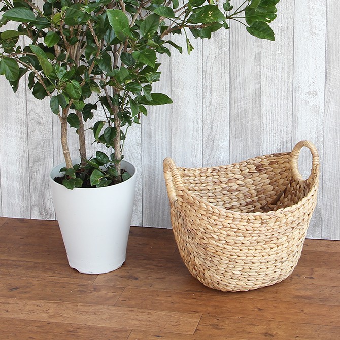 ウォーターヒヤシンス 舟型インテリア バスケット Mサイズ : MERCADO