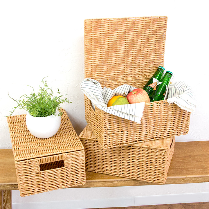 PP収納バスケット M / 収納 おもちゃ箱 カゴ ふた付き 雑貨 籠 フタ 蓋