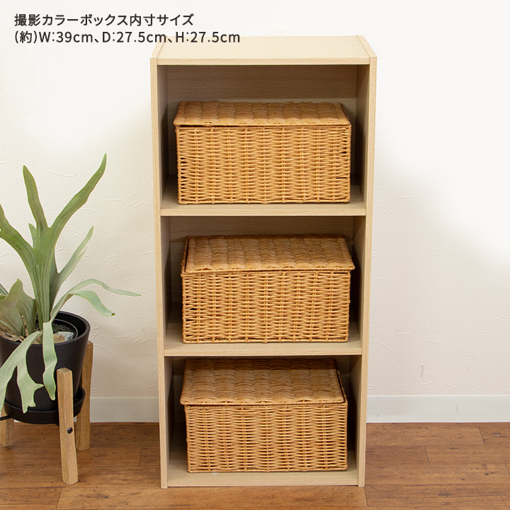 PP収納バスケット M / 収納 おもちゃ箱 カゴ ふた付き 雑貨 籠 フタ 蓋