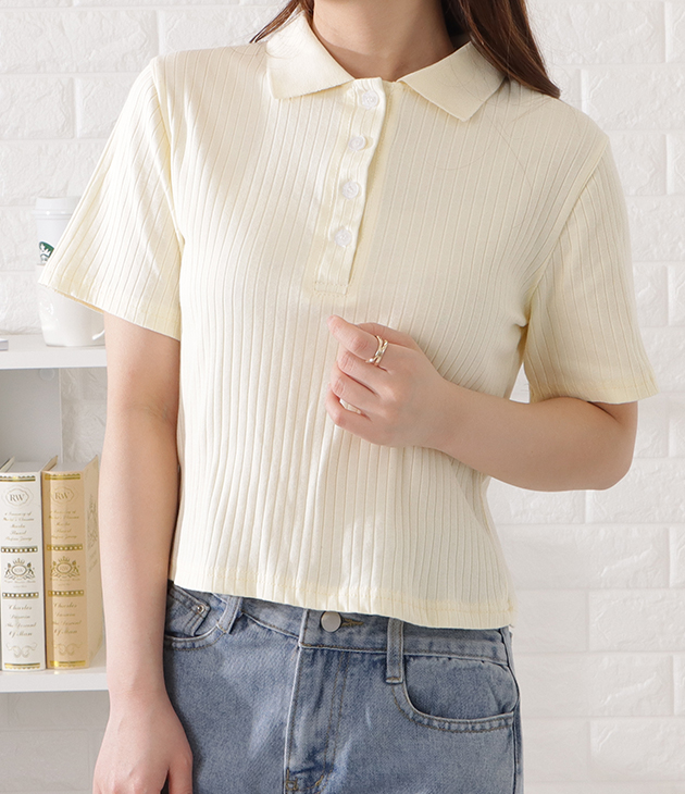 Lace Ladies 襟付き半袖リブトップス レディース 女性