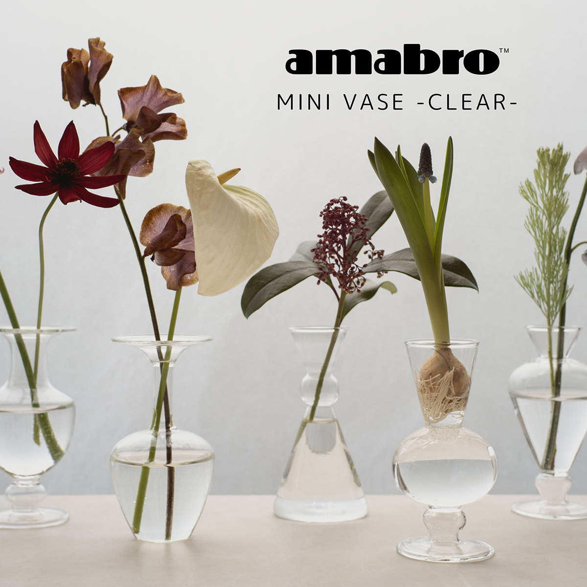 amabro（アマブロ） 一輪挿し フラワーベース MINI VASE CLEAR φ60