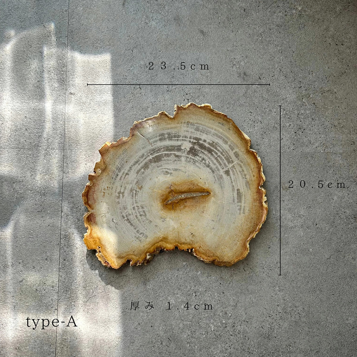 amabro（アマブロ） ウッドプレート 20 amabro WOOD PLATE 20 珪化木