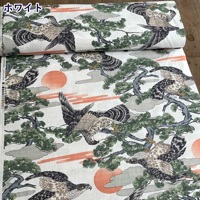 ハンサムラインスカートデザインケープスーツ【フーディーケープ