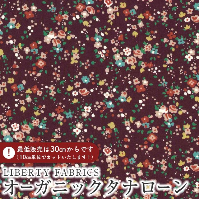 ユキエモン　22キャビネット使用　ドールクローゼット Amazon.co.jp: Zak Designs Beacon 断熱ボトル ギャビーのドール