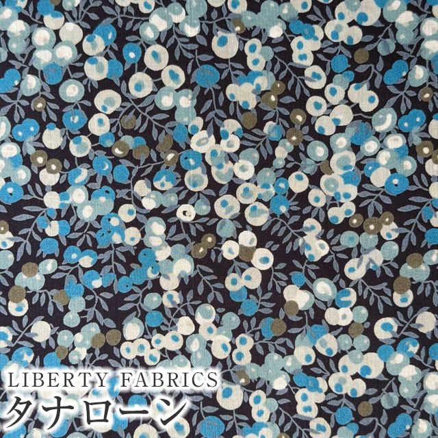 リバティ　タナローン　ウェルべック 0509214137_681df8013c9d3.JPG