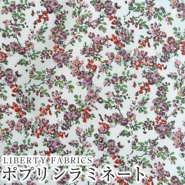 リバティ 生地 ムーンモス」の人気商品一覧 | 安い商品を通販サイト