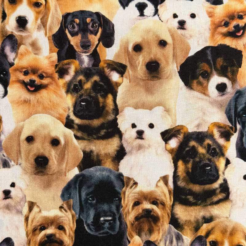 USAコットン Dog(ドッグ)シーチング生地 イヌ柄 Timeless