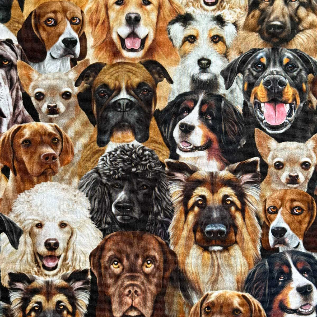 USA�R�b�g�� Dogs Portrait(�h�b�O�|�[�g���[�g)���̊G�� ���� �}���`�J���[ �V�[�`���O���n Timeless Treasures(�^�C�����X�g���W���[)CD2947-NATURAL