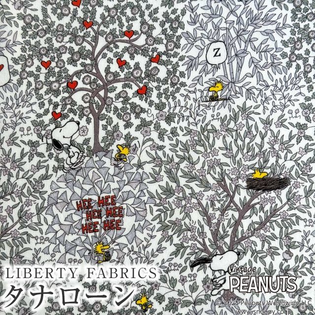 PEANUTS(TM)Xk[s[×oeBt@ubNX Y^i[nWoodstock Day(EbhXgbNEfC)yCgO[×zCgnzDC33936-J25A