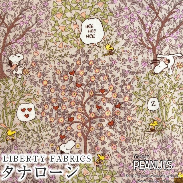 PEANUTS(TM)Xk[s[×oeBt@ubNX Y^i[nWoodstock Day(EbhXgbNEfC)yx[WnzDC33936-J25C