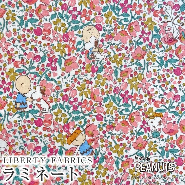PEANUTS(TM)Xk[s[×oeBt@ubNX Y~l[gCharlie Brown's Flowers(`[[EuEYEt[Y)yR[sNz