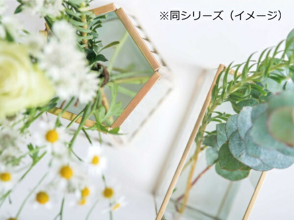 花瓶 フラワーベース フレームフラワーベース ソリッド ガラス ブラス 三角型 ゴールド ソリッド 22700 POSH LIVING  ポッシュリビング 木 花 フラワー おしゃれ