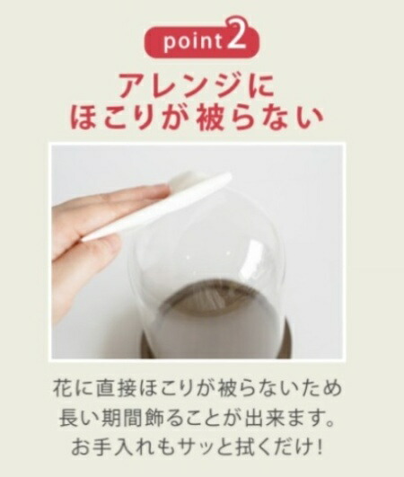 Paseo（パセオ） ドーム型 ガラスドーム 容器 インテリア 小物入れ