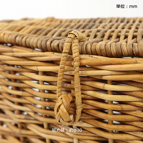 THE AROROG アラログふた付きスリムバスケット Lサイズ クレエ ふた