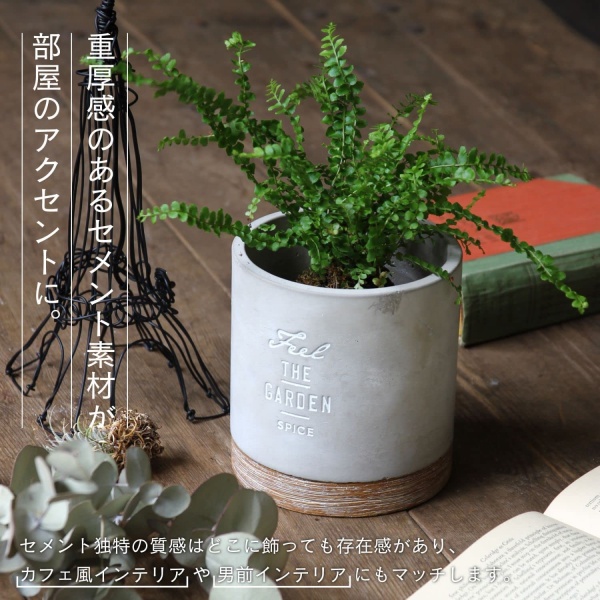 ８♦き 様フォロー割♦ 純銅 シロダーラ ポット 約 １．５㍑ ♦ 小原産業 小原産業 フタ付きダストボックス 7型TYPE TB-5511