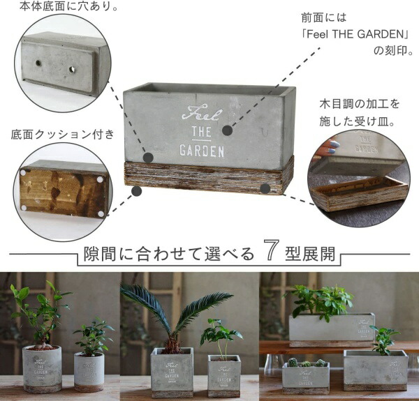 セメントプランター レクト S 2号×2鉢目安 FEEL THE GARDEN CBGZ2041 