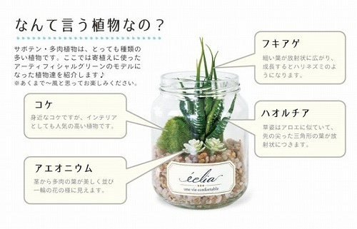 ひとひページ キシマ サキュレントリフレリウム 消臭アーティフィシャル
