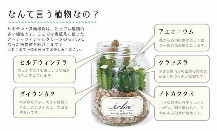キシマ エクリア 消臭アーティフィシャルグリーン キシマ エクリア 消臭アーティフィシャルグリーン