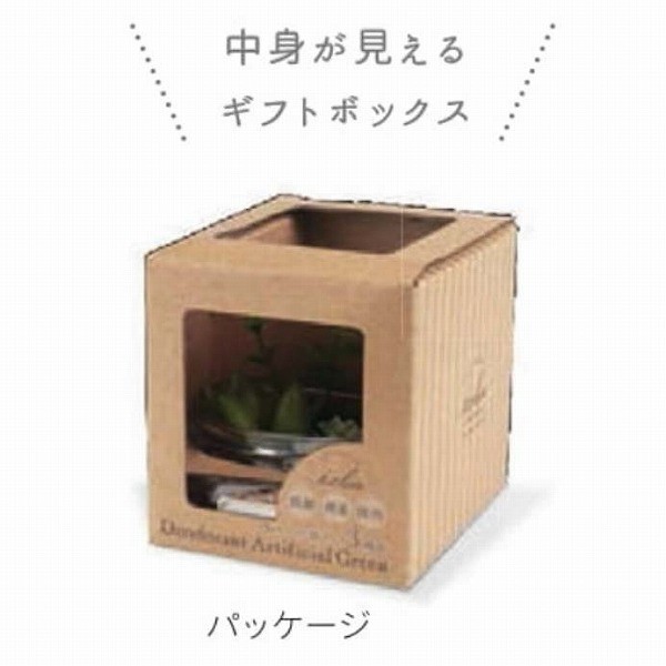 専用ページ キシマ（KISHIMA） エクリア 消臭アーティフィシャルグリーン