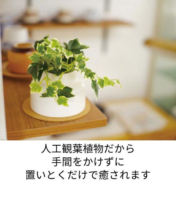 キシマ（KISHIMA） アイビー 観葉植物 造花 インテリア CT触媒 ミニ