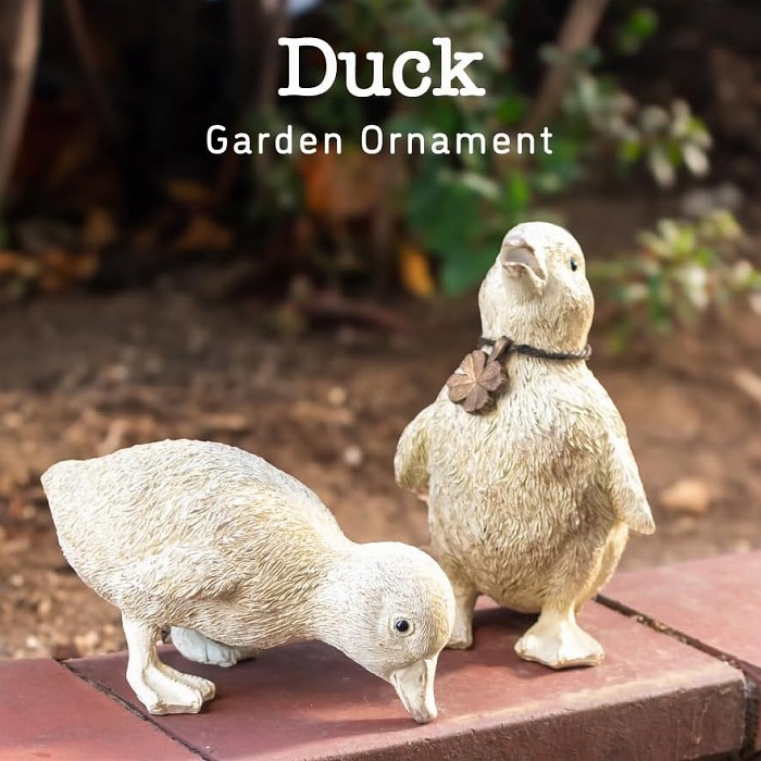 キシマ（KISHIMA） アヒル ダック 2匹セット 子供 鳥 ガーデン