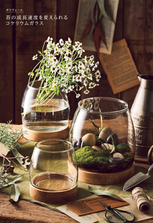 Paseo（パセオ） 花瓶 フラワーベース ボワヴェール M アカシア 木製