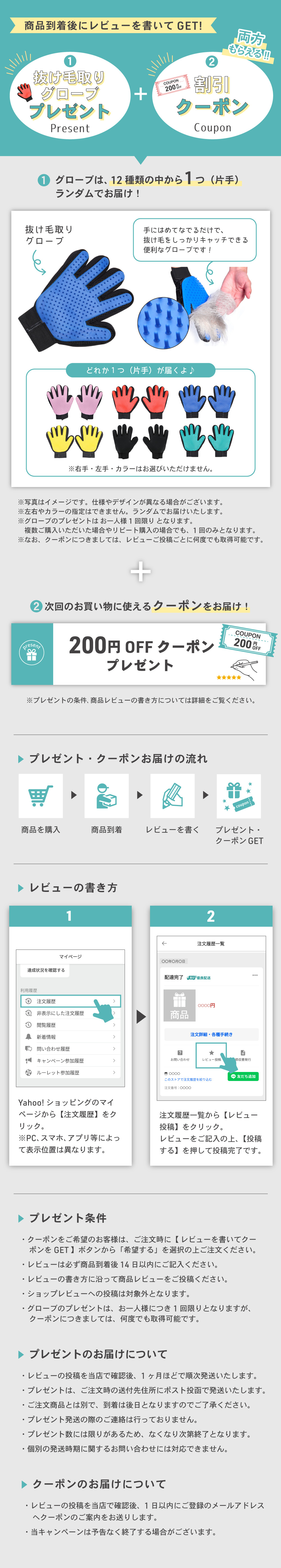 わが家のアイドル 光る レインボー首輪