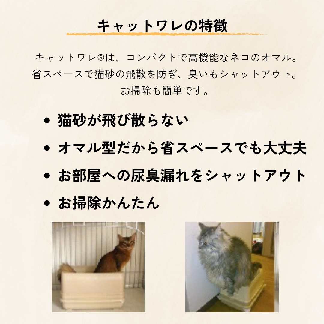 キャットワレ