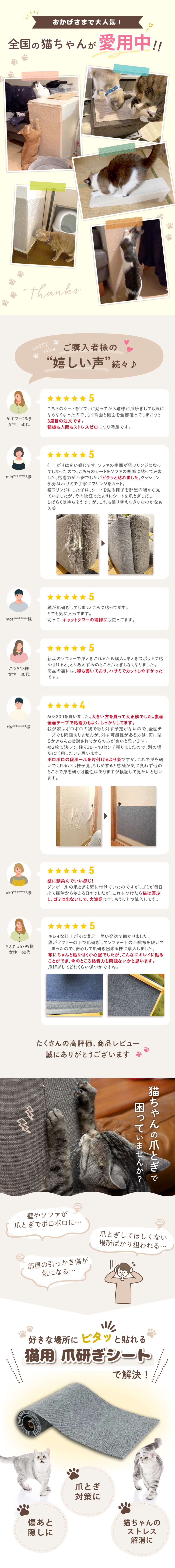 爪研ぎシート