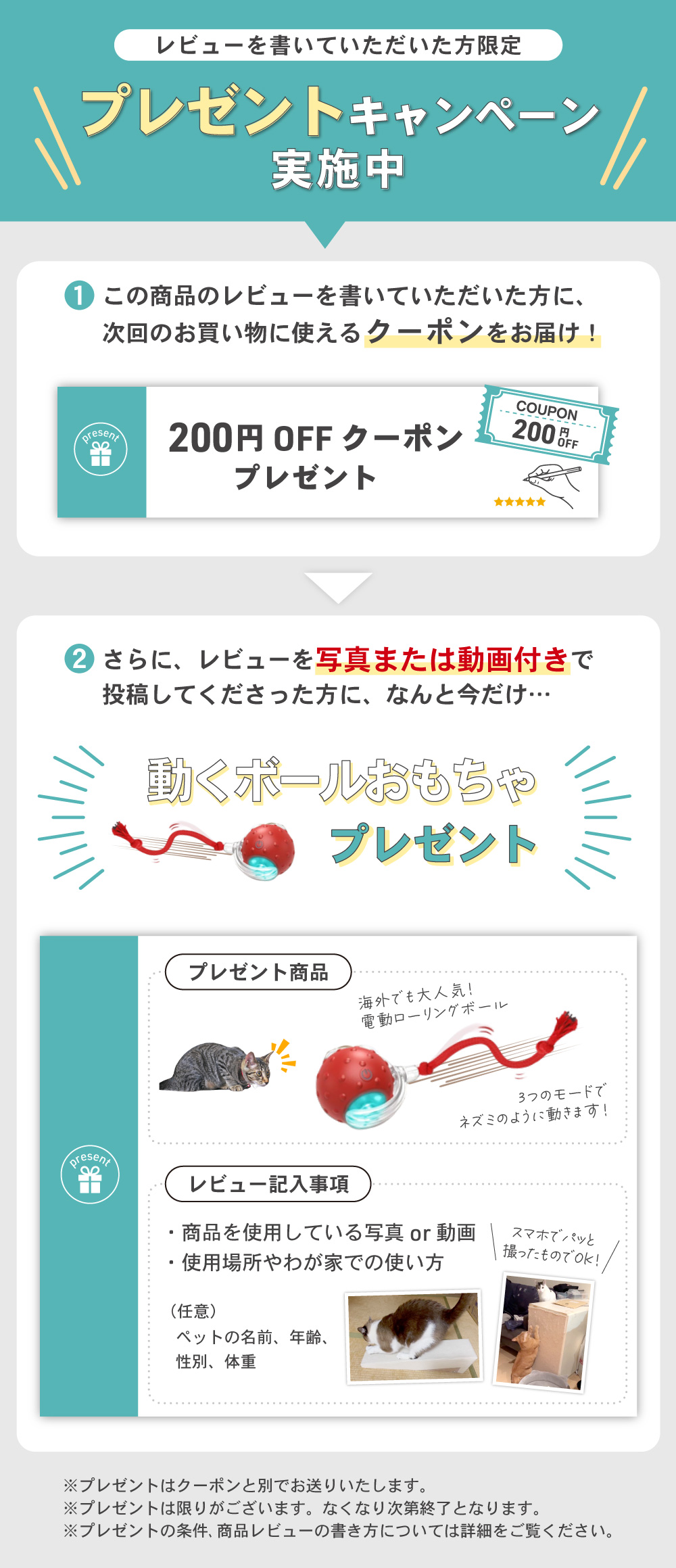 爪研ぎシート