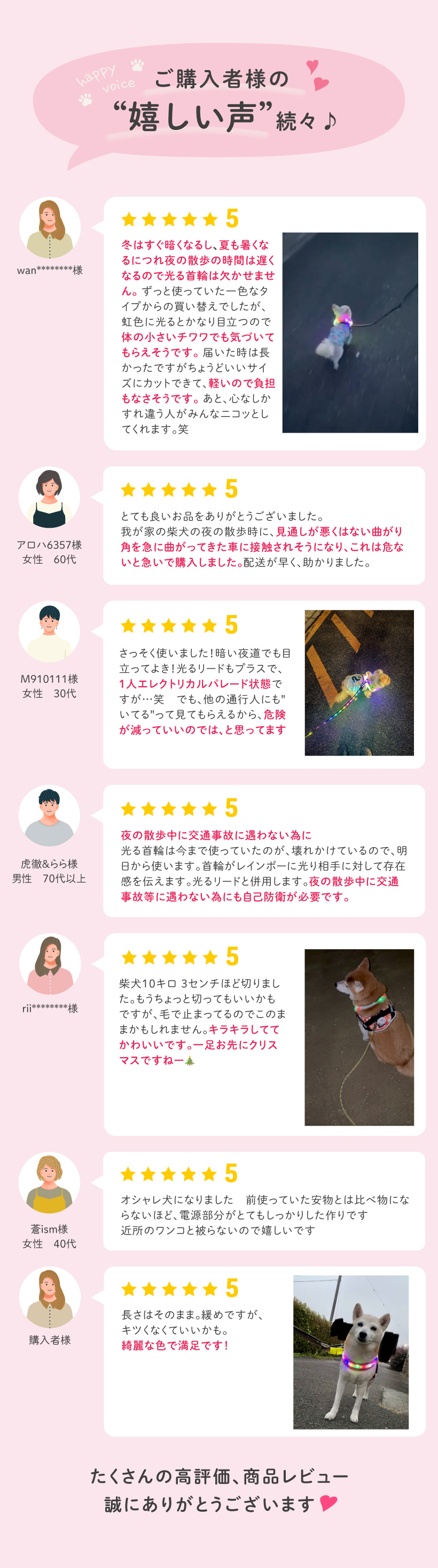 わが家のアイドル 光る レインボー首輪