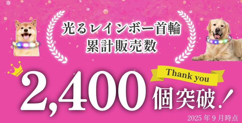 わが家のアイドル 光る レインボー首輪