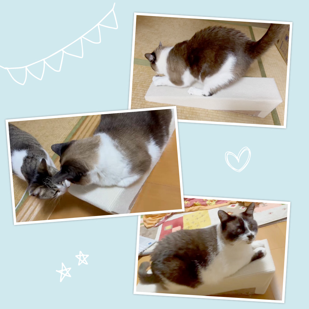 爪研ぎシート