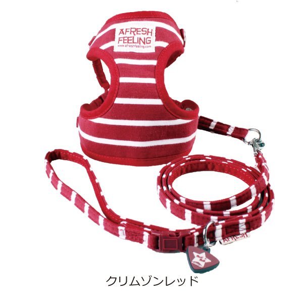 タイトル画像