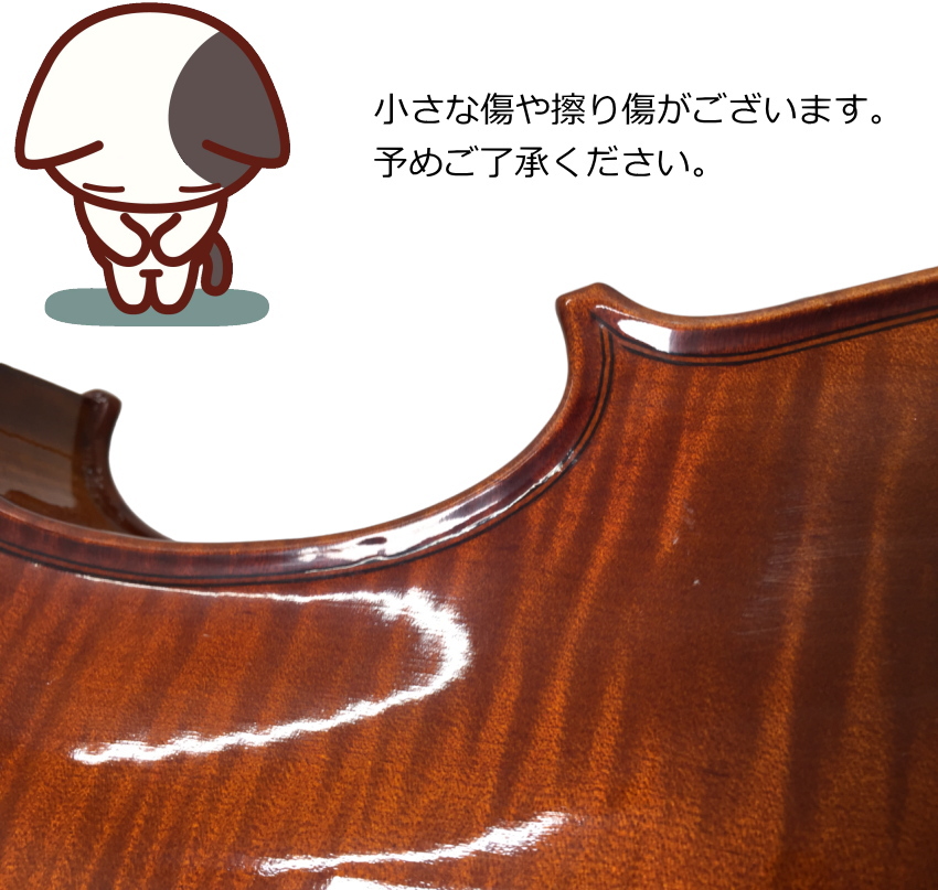 バイオリン　ステンター KIKUTANI（キクタニ） STENTOR 国内未発表バイオリン 1560A 6点セット