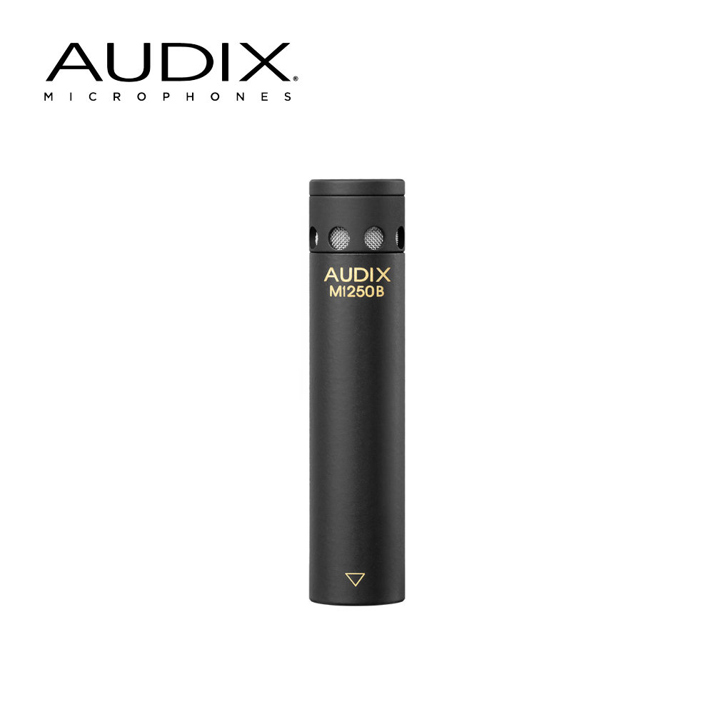 AUDIX 無指向性 小型 コンデンサーマイク M1250BO
