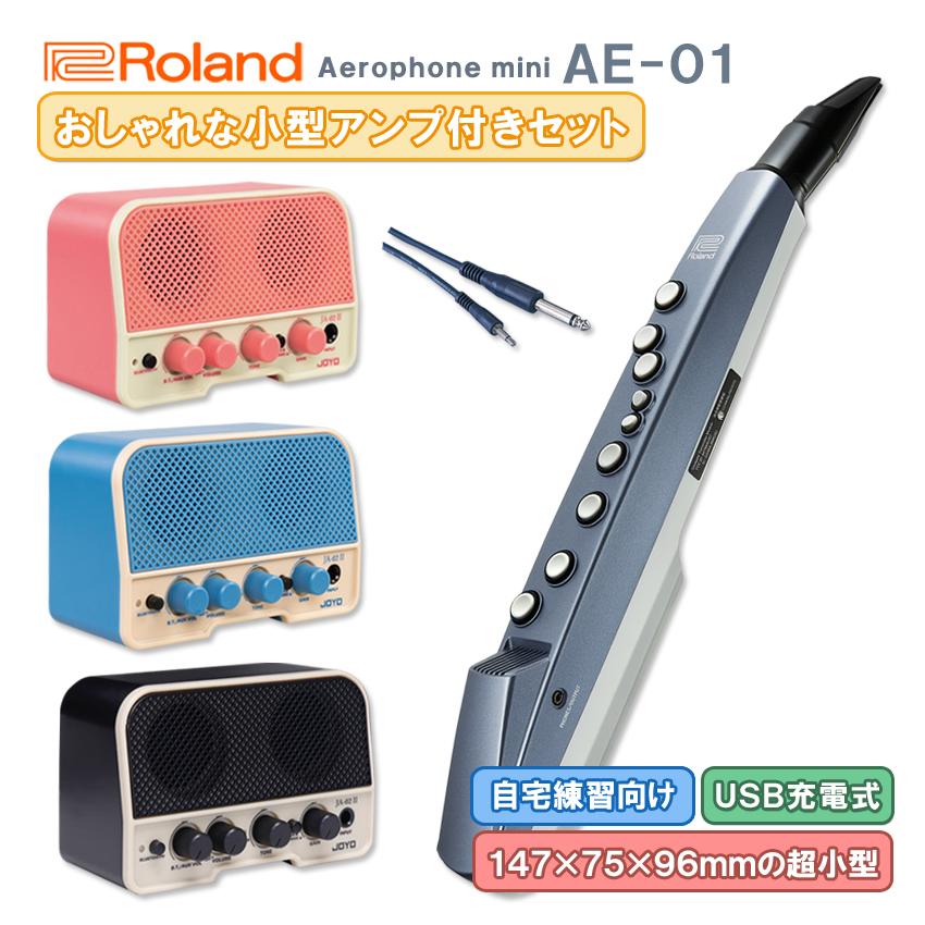 Roland Aerophone mini AE-01【初心者でも簡単に接続】Bluetooth機能 