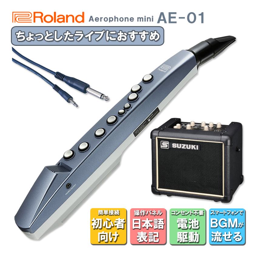 Roland Aerophone mini AE-01【初心者でも簡単に接続できる】日本語表記の操作パネル＆説明書が付いたアンプ付きセット  ウインドシンセ デジタル管楽器 電子楽器