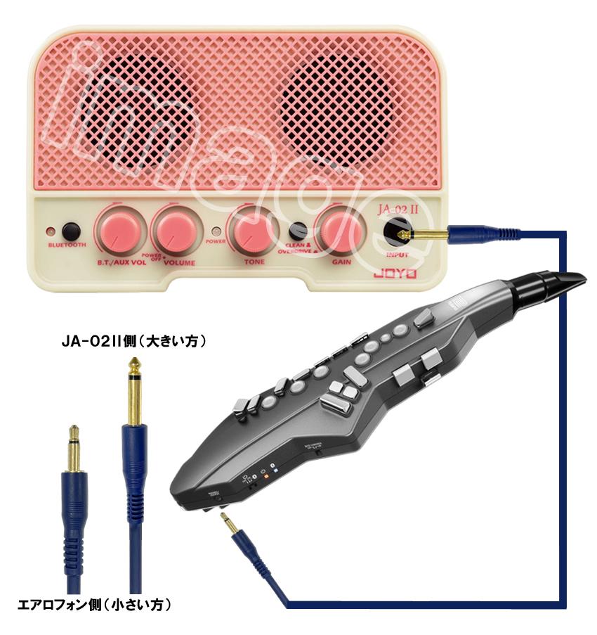 Roland Aerophone GO AE-05【初心者でも簡単に接続】Bluetooth機能付き おしゃれなレトロデザインの小型アンプ付き ウインドシンセ デジタル管楽器 電子楽器 | ローランド | 02